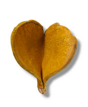 Fava de Oxum